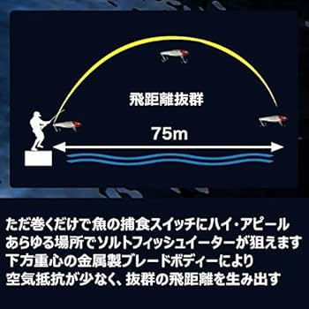 Amazon.co.jp: [青嵐ルアー] メタルバイブ セット シーバス